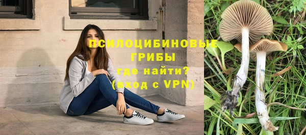 герыч Осташков