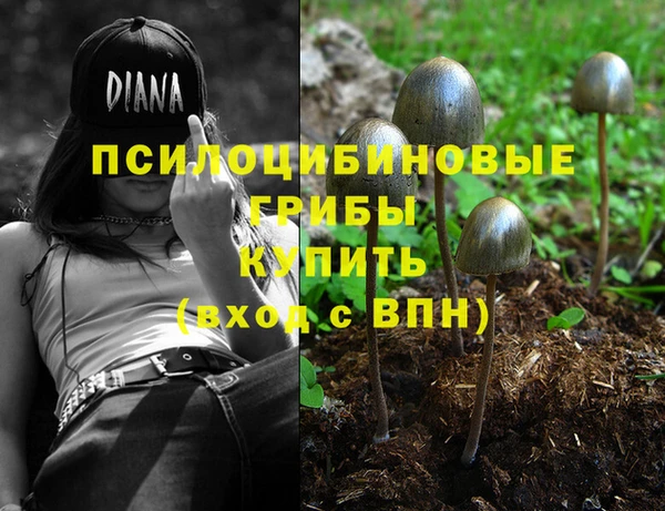 PSILOCYBIN Абинск