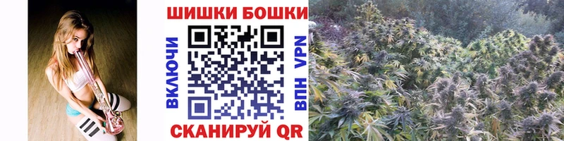 блэк спрут ссылка  Гусиноозёрск  Марихуана индика 